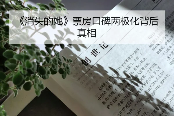 《消失的她》票房口碑两极化背后真相