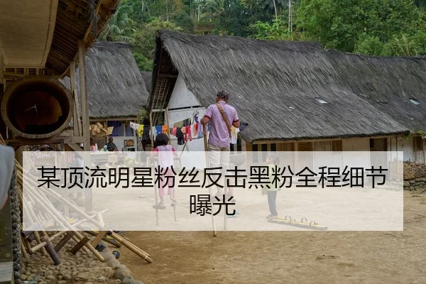 某顶流明星粉丝反击黑粉全程细节曝光